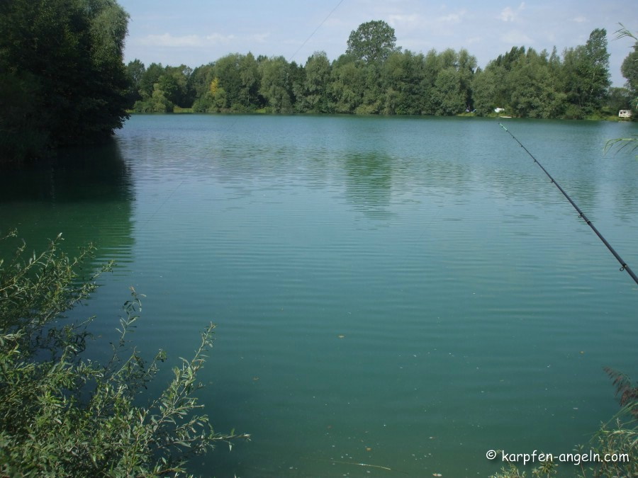 angeln-im-sommer