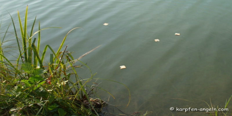 schwimmbrot-im-wasser