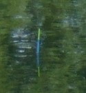 waggler